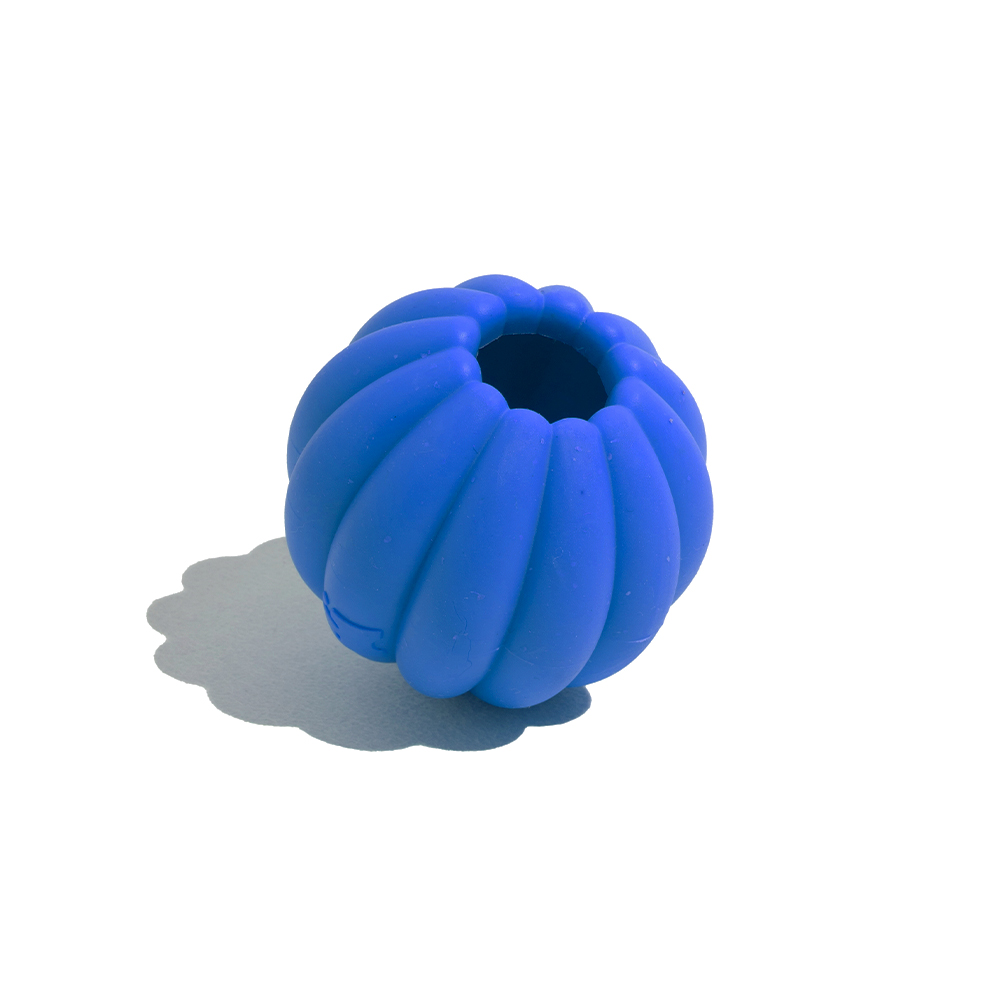 Brinquedo Petz Tangerina Azul para Cães