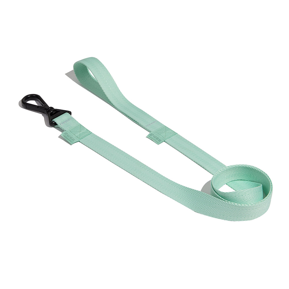 Guia Petz Pastel Mint para Cães